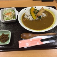 薬膳カレー　メイン・サラダ・漬け物